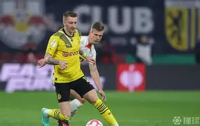 射雕英雄传之直捣小龙女